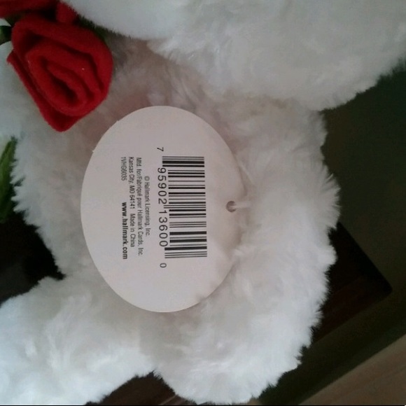 Valentines Bear with Roses - Picture 3 of 3